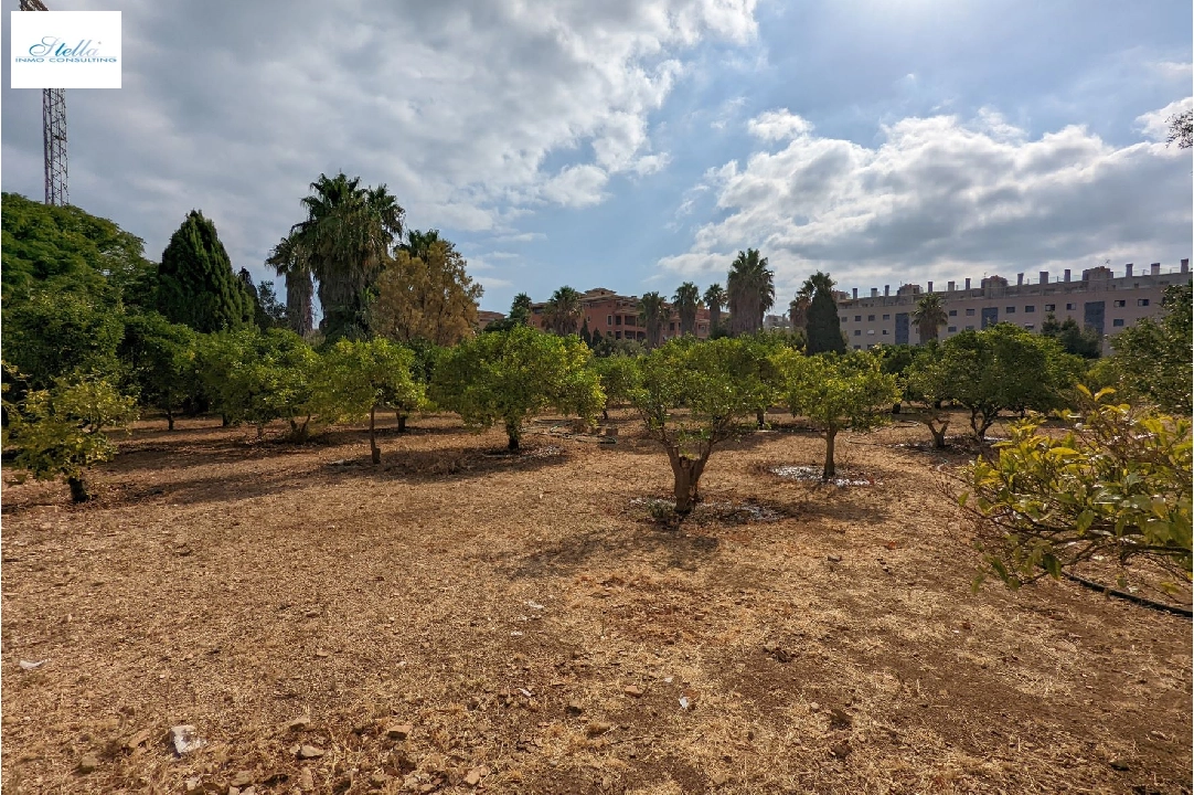 country house in Denia(Sport center) for sale, air-condition, plot area 2000 m², swimming-pool, ref.: BP-8013DEN-10