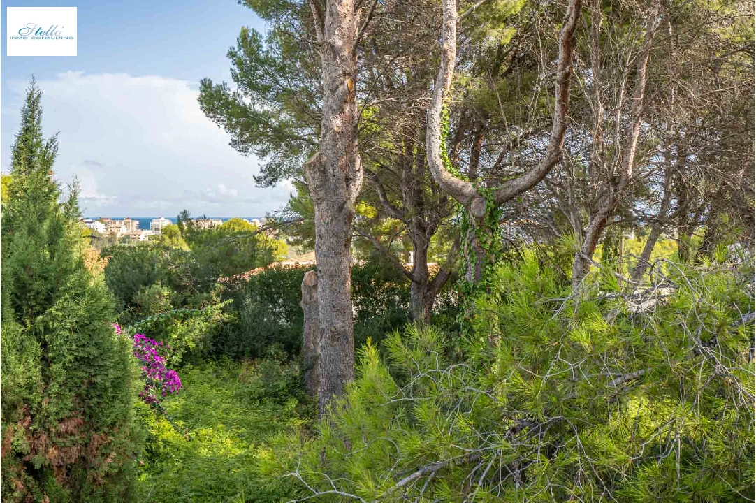 residential ground in Javea(Adsubia) for sale, air-condition, plot area 1000 m², swimming-pool, ref.: BP-4131JAV-1