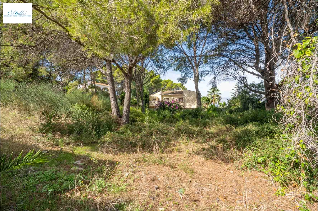 residential ground in Javea(Adsubia) for sale, air-condition, plot area 1000 m², swimming-pool, ref.: BP-4131JAV-6