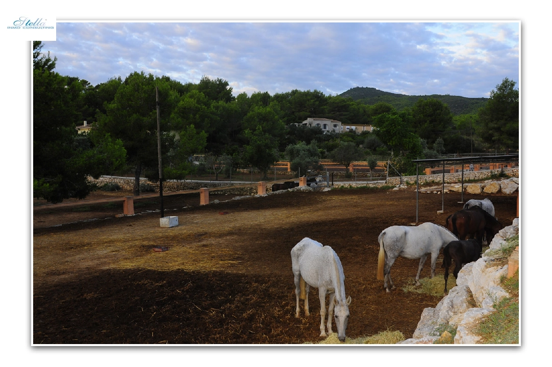 villa in Javea for sale, built area 420 m², air-condition, plot area 18000 m², 5 bedroom, 3 bathroom, swimming-pool, ref.: PR-PPS1295-20