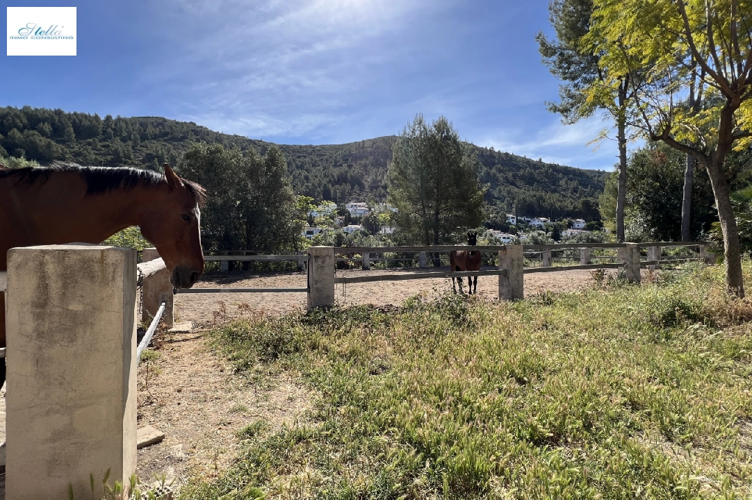 country house in Orba for sale, built area 300 m², year built 2000, + stove, plot area 17241 m², 4 bedroom, 2 bathroom, swimming-pool, ref.: SB-2423-34