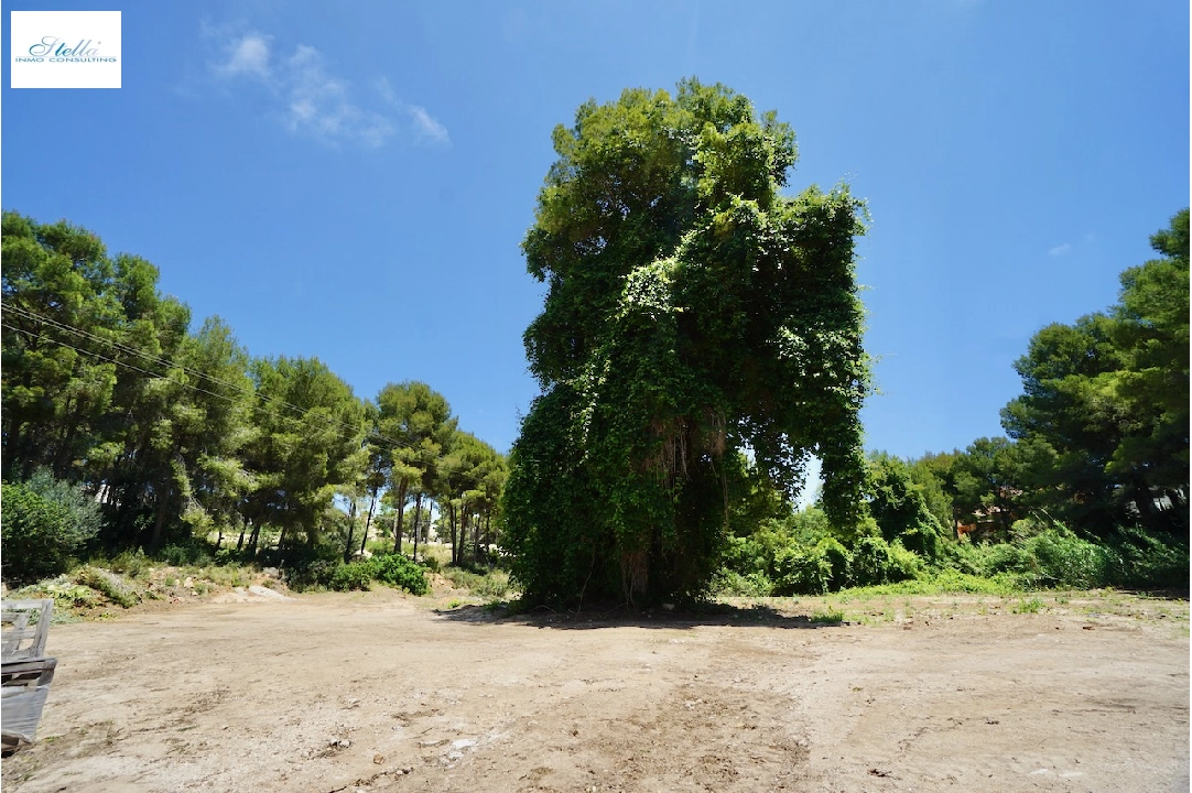 residential ground in Moraira for sale, plot area 4473 m², swimming-pool, ref.: CA-G-1633-AMB-1