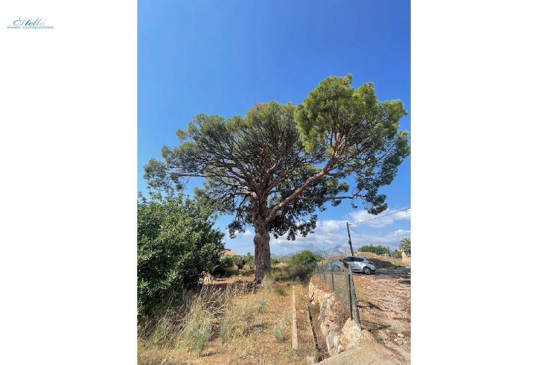 residential ground in Altea(Altea) for sale, plot area 10287 m², ref.: CA-G-1634-AMB-3