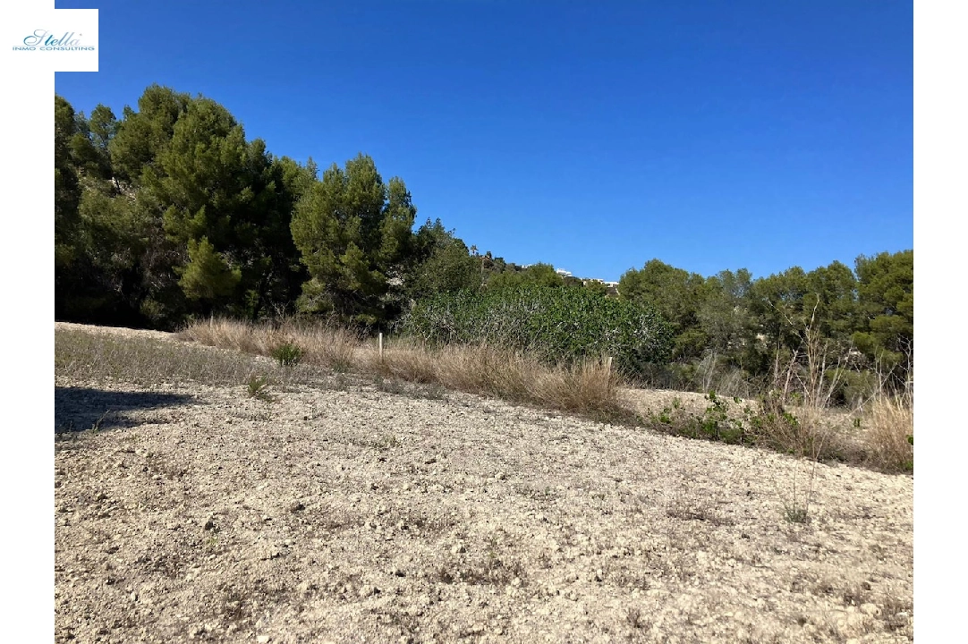 residential ground in Benissa(Benissa) for sale, plot area 10894 m², ref.: CA-G-1771-AMB-9