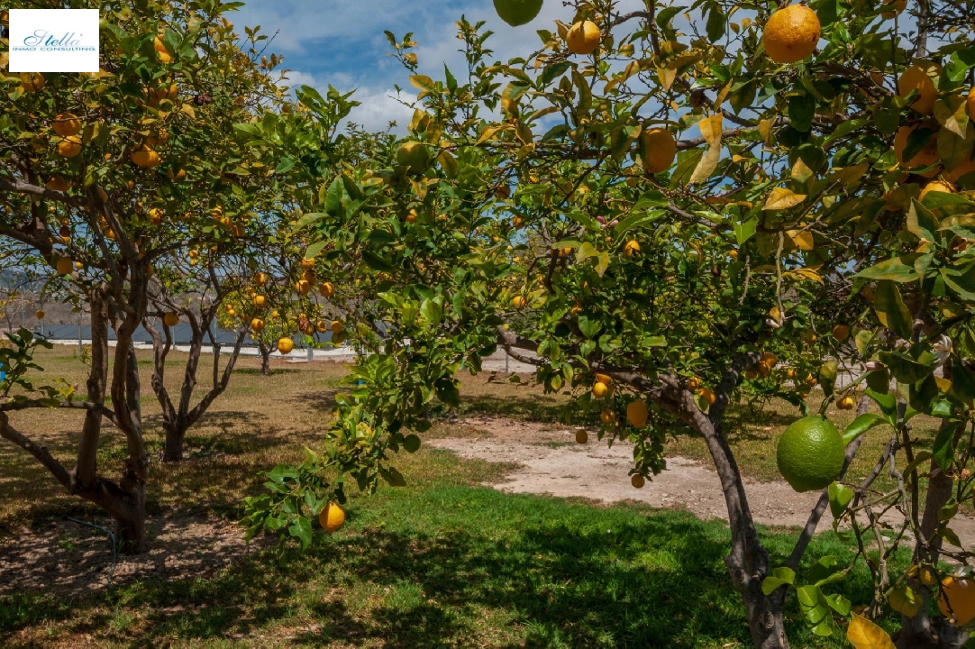 country house in Teulada(Zona de la playa) for sale, built area 238 m², air-condition, plot area 14129 m², 5 bedroom, 4 bathroom, swimming-pool, ref.: COB-3457-10535-26