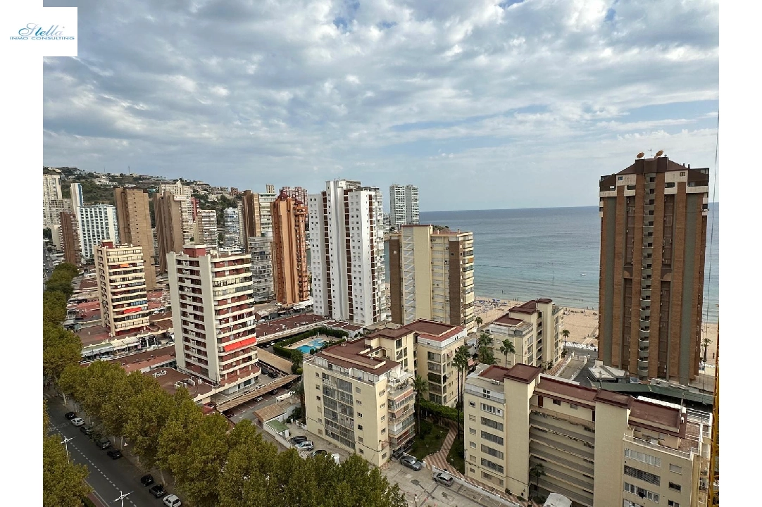 apartment in Benidorm(Avenida del Mediterraneo) for sale, built area 63 m², air-condition, 1 bedroom, 1 bathroom, swimming-pool, ref.: COB-13065-10535-3