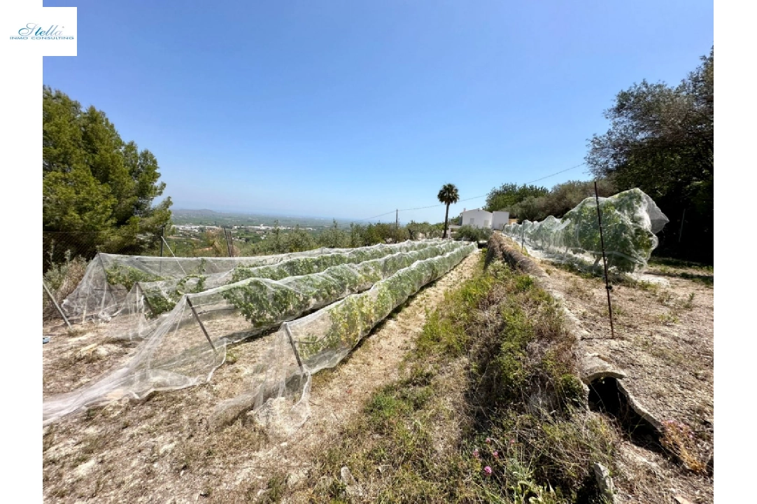 country house in Pego for sale, built area 83 m², year built 1947, air-condition, plot area 7080 m², 2 bedroom, 1 bathroom, swimming-pool, ref.: O-V91914-12