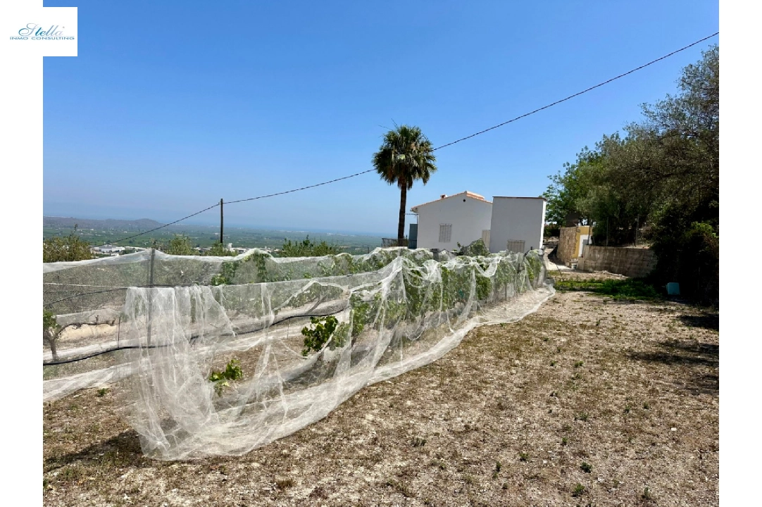 country house in Pego for sale, built area 83 m², year built 1947, air-condition, plot area 7080 m², 2 bedroom, 1 bathroom, swimming-pool, ref.: O-V91914-11