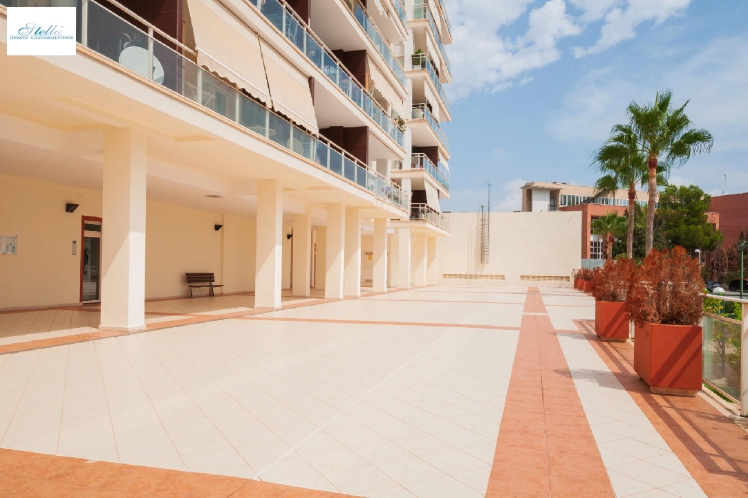 penthouse apartment in Calpe(Calpe) for sale, built area 117 m², air-condition, 3 bedroom, 2 bathroom, swimming-pool, ref.: COB-3473-10535-15