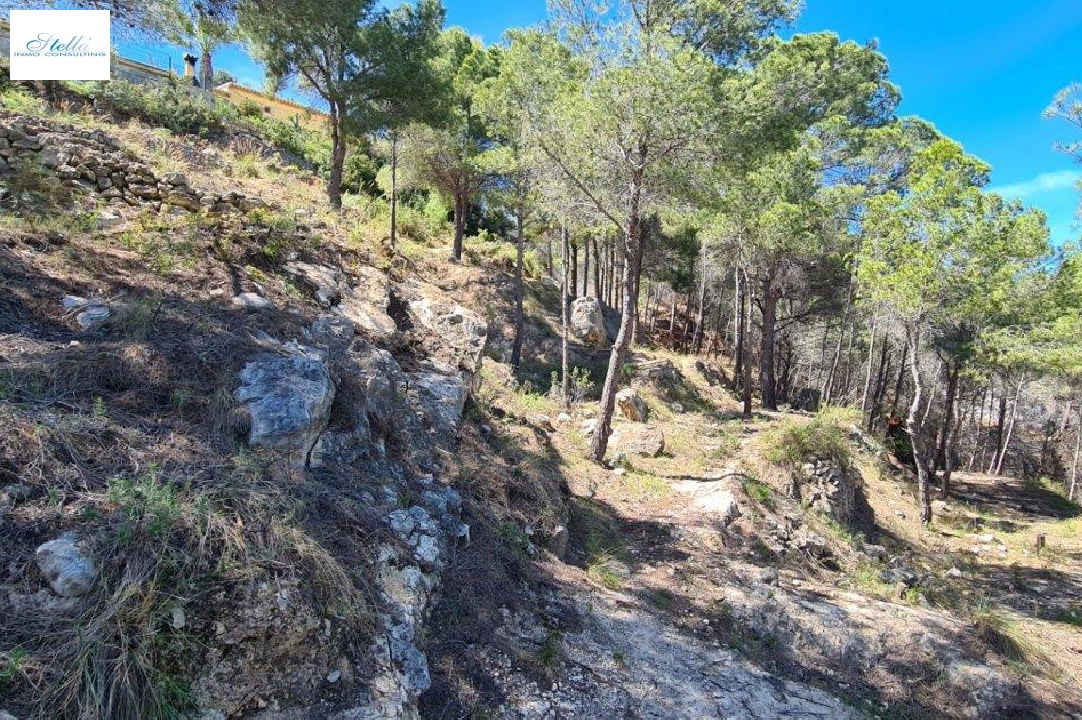 residential ground in Calpe for sale, air-condition, plot area 2500 m², ref.: AM-11750NS-1