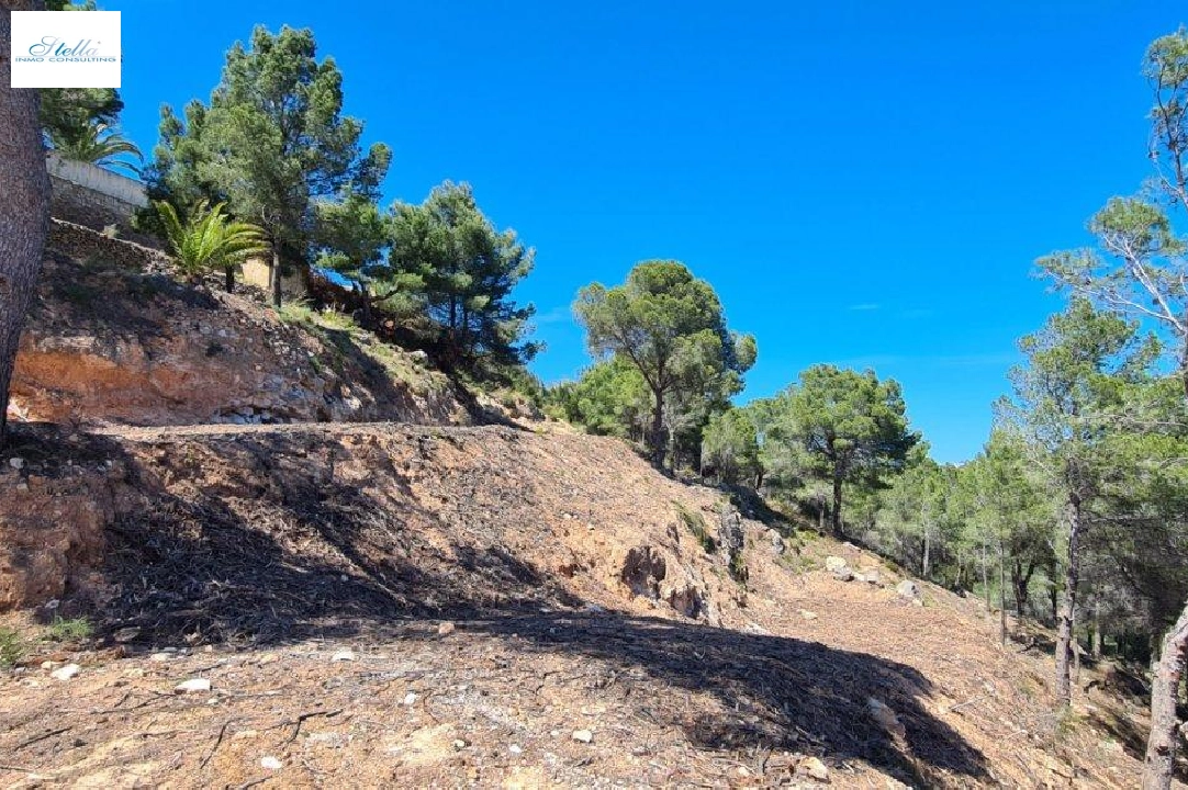 residential ground in Calpe for sale, air-condition, plot area 2500 m², ref.: AM-11750NS-3