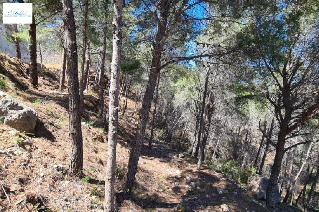 residential ground in Calpe for sale, air-condition, plot area 2500 m², ref.: AM-11750NS-6