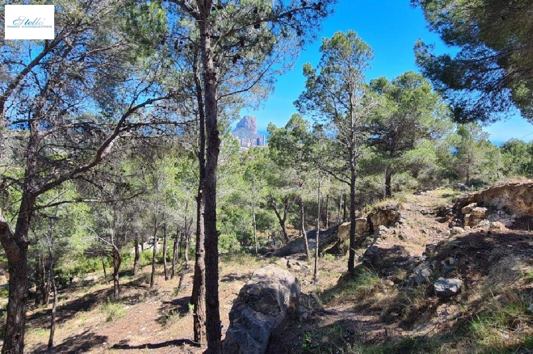 residential ground in Calpe for sale, air-condition, plot area 2500 m², ref.: AM-11750NS-5