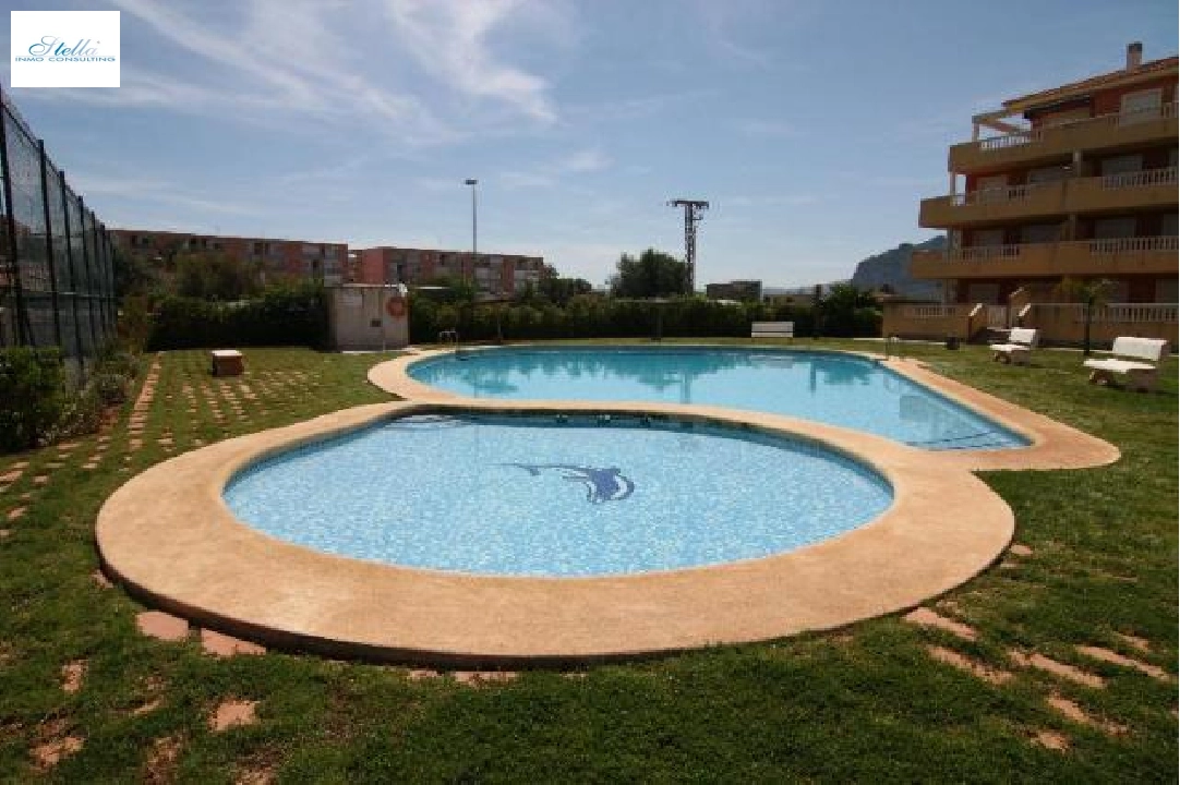 Separate community pool next to the tennis court