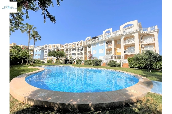 Apartment-in-Denia-Las-Marinas-zur-Ferienvermietung-T-0318-1.webp